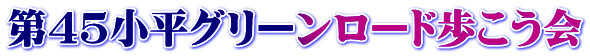 第４５小平グリーンロード歩こう会